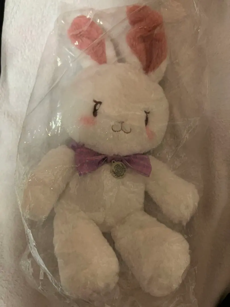 2026年最新】ピオフィオーレの晩鐘 ぬいぐるみの人気アイテム - メルカリ