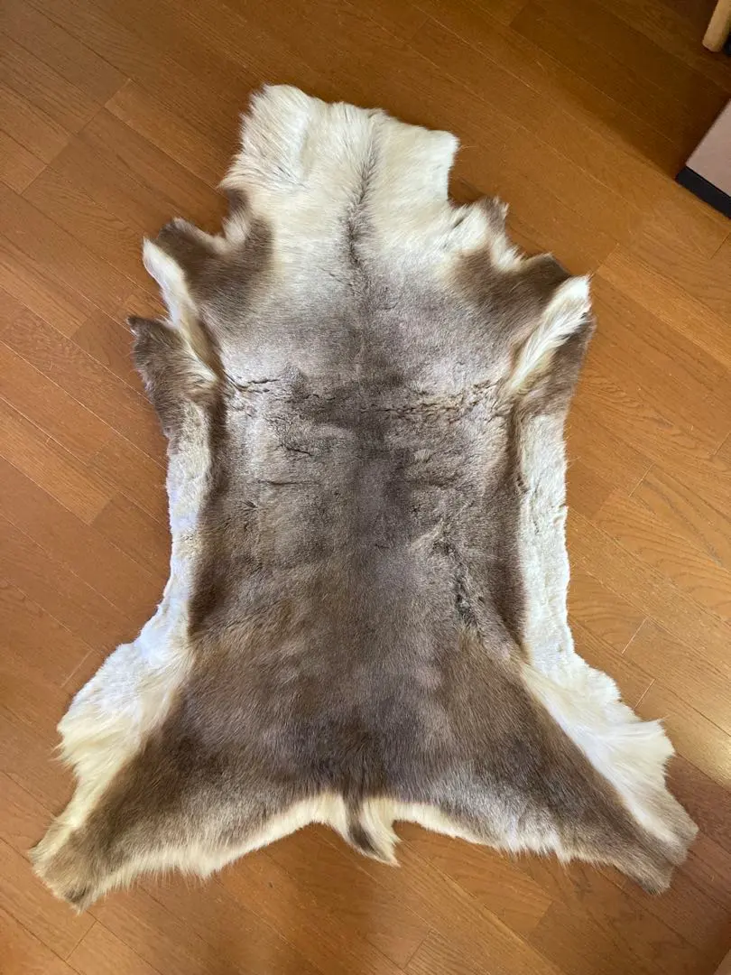 2026年最新】トナカイ 毛皮の人気アイテム - メルカリ