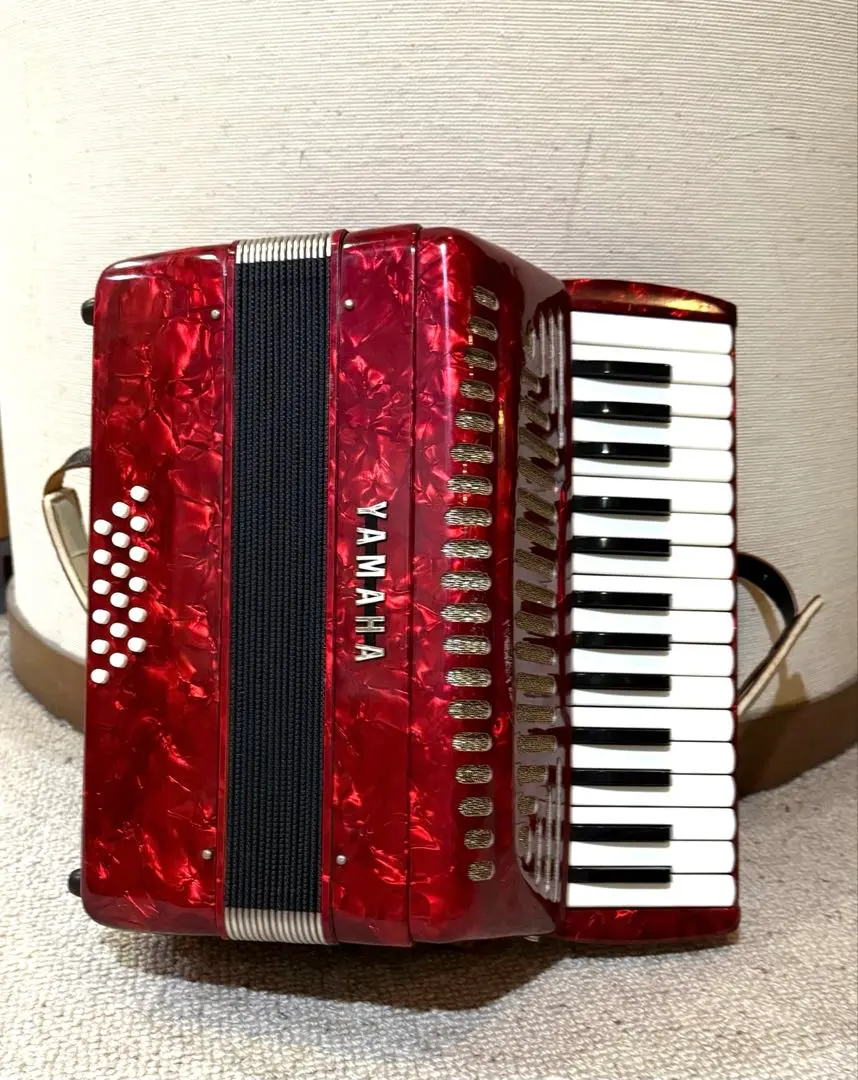 2025年最新】YAMAHA アコーディオン 8905の人気アイテム - メルカリ