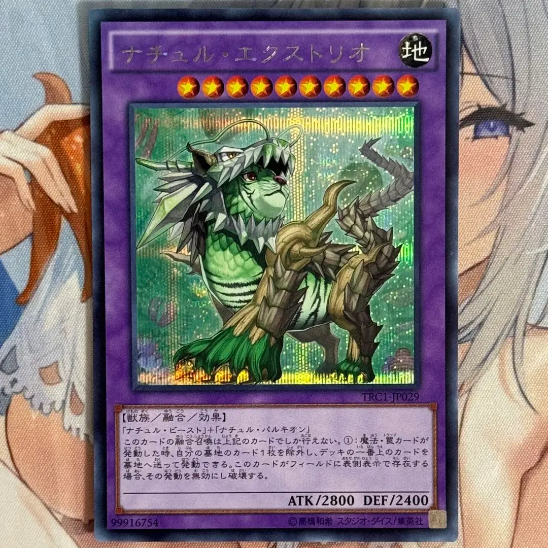 2026年最新】ナチュルエクストリオ シークレットの人気アイテム - メルカリ