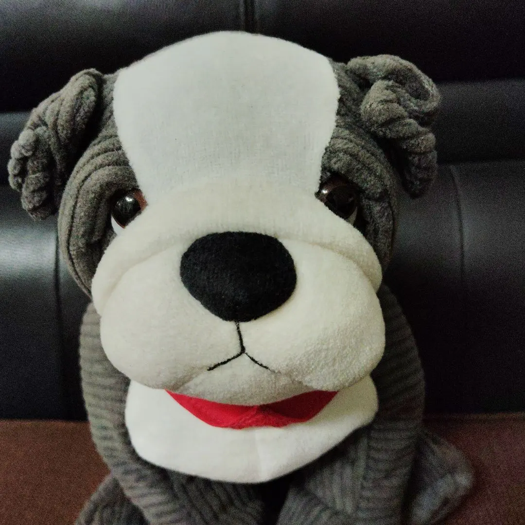 2026年最新】mini ブルドッグ ぬいぐるみの人気アイテム - メルカリ