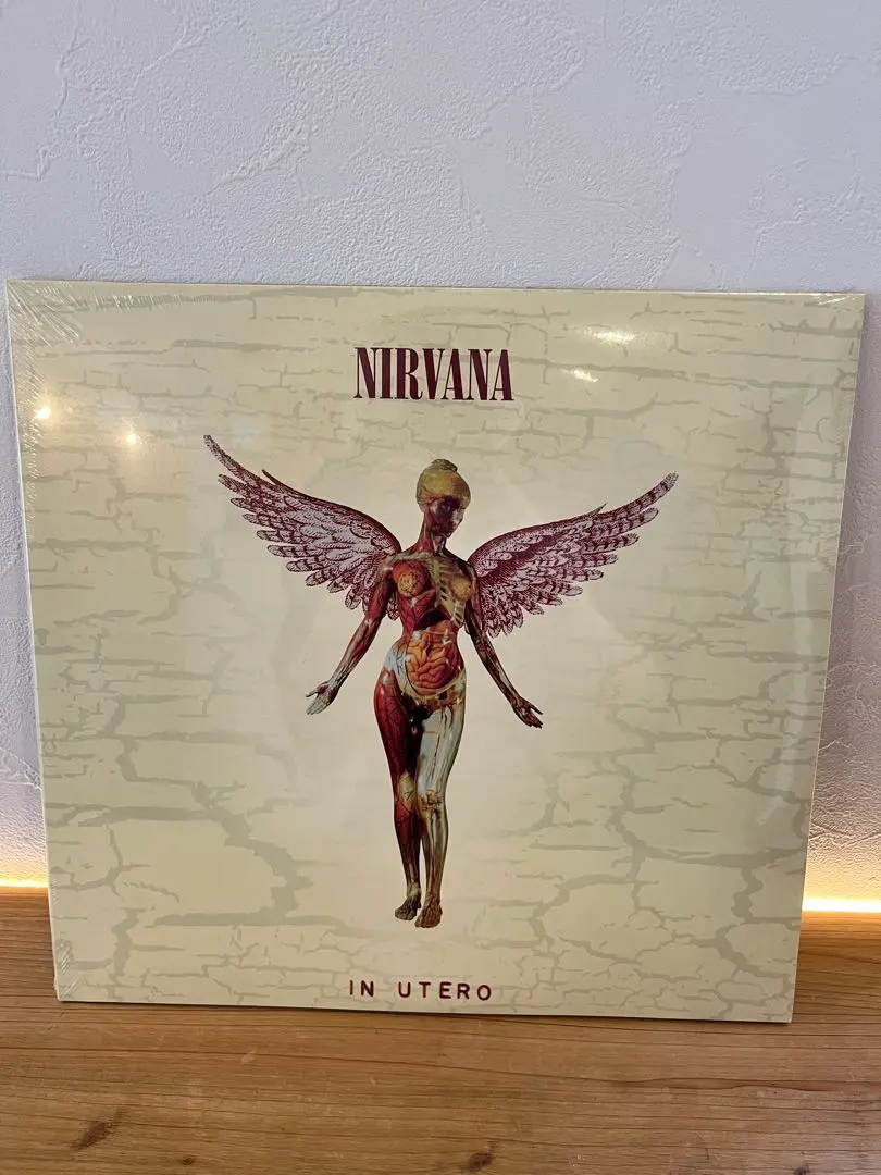 2026年最新】nirvana in utero レコードの人気アイテム - メルカリ