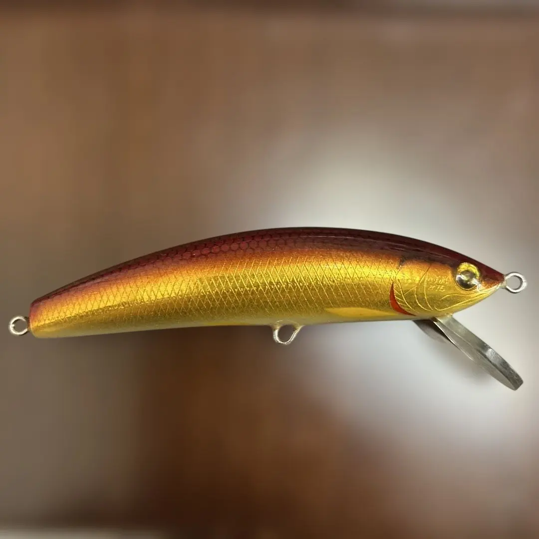 2026年最新】ora ミノーの人気アイテム - メルカリ