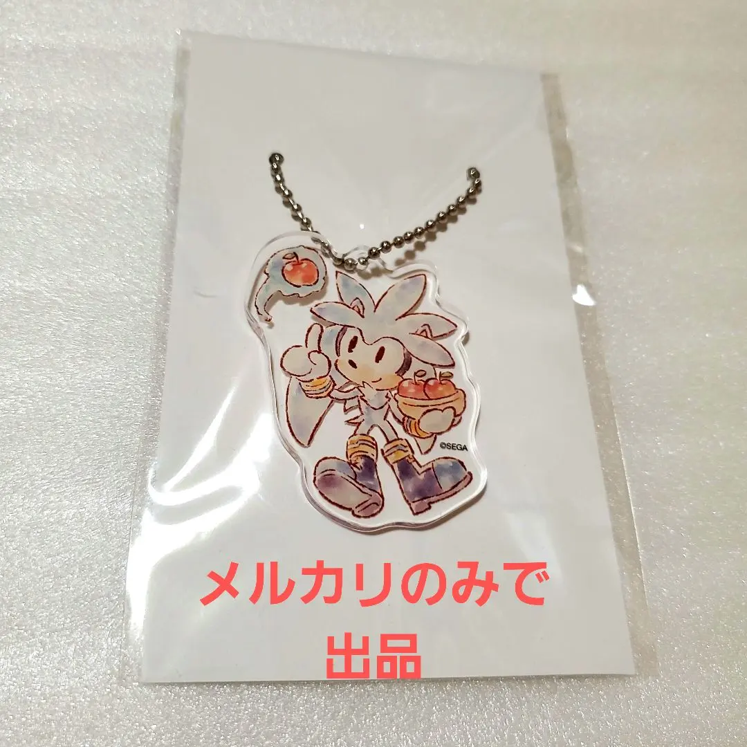 2026年最新】シルバーザヘッジホッグの人気アイテム - メルカリ