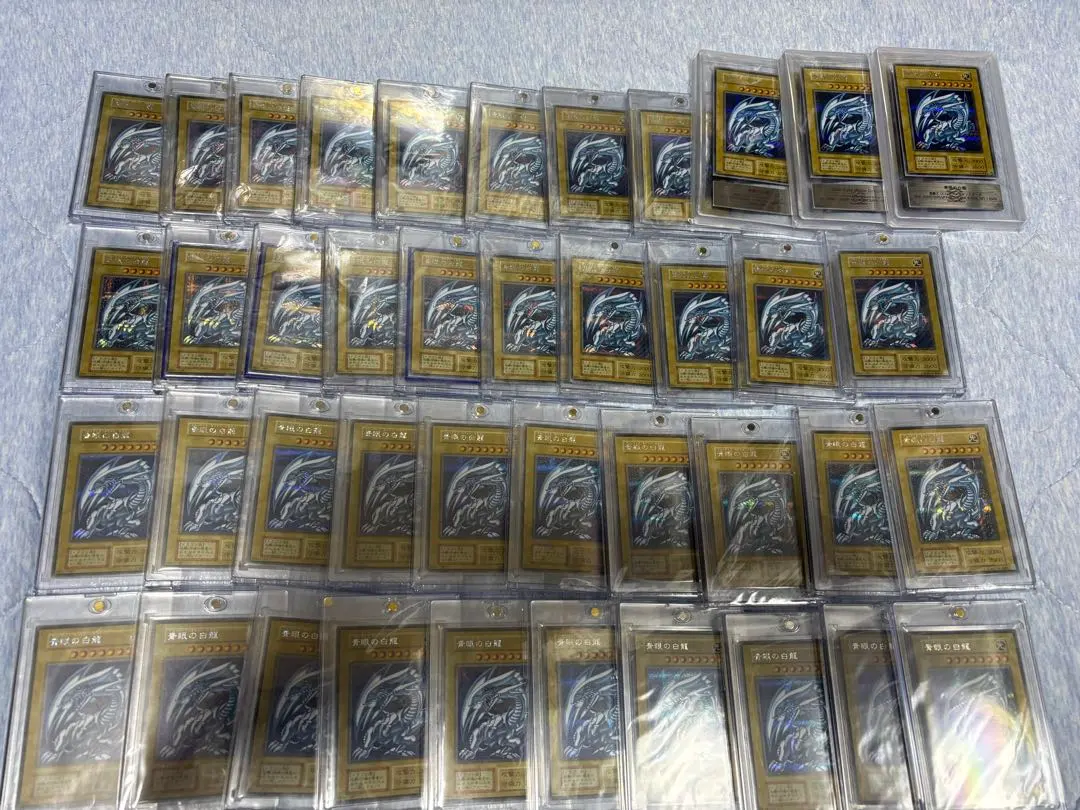 2026年最新】シクブル 海馬セットの人気アイテム - メルカリ