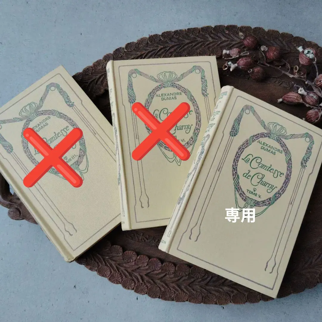 2026年最新】ネルソン 洋書 フランスアンティークの人気アイテム