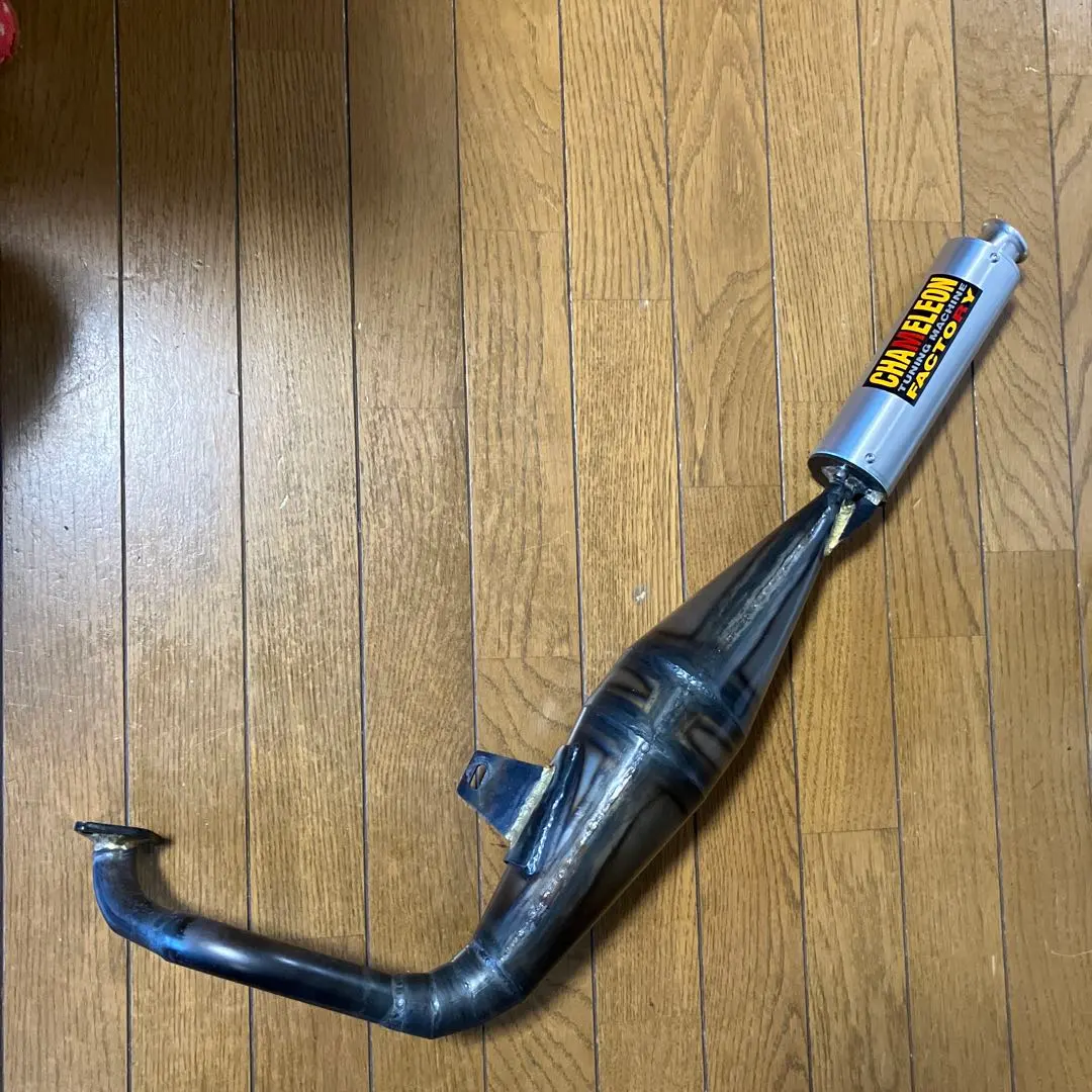 2026年最新】カメレオンファクトリー zxの人気アイテム - メルカリ