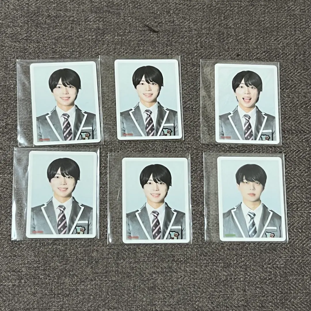 2026年最新】パンダドラゴン 証明写真の人気アイテム - メルカリ