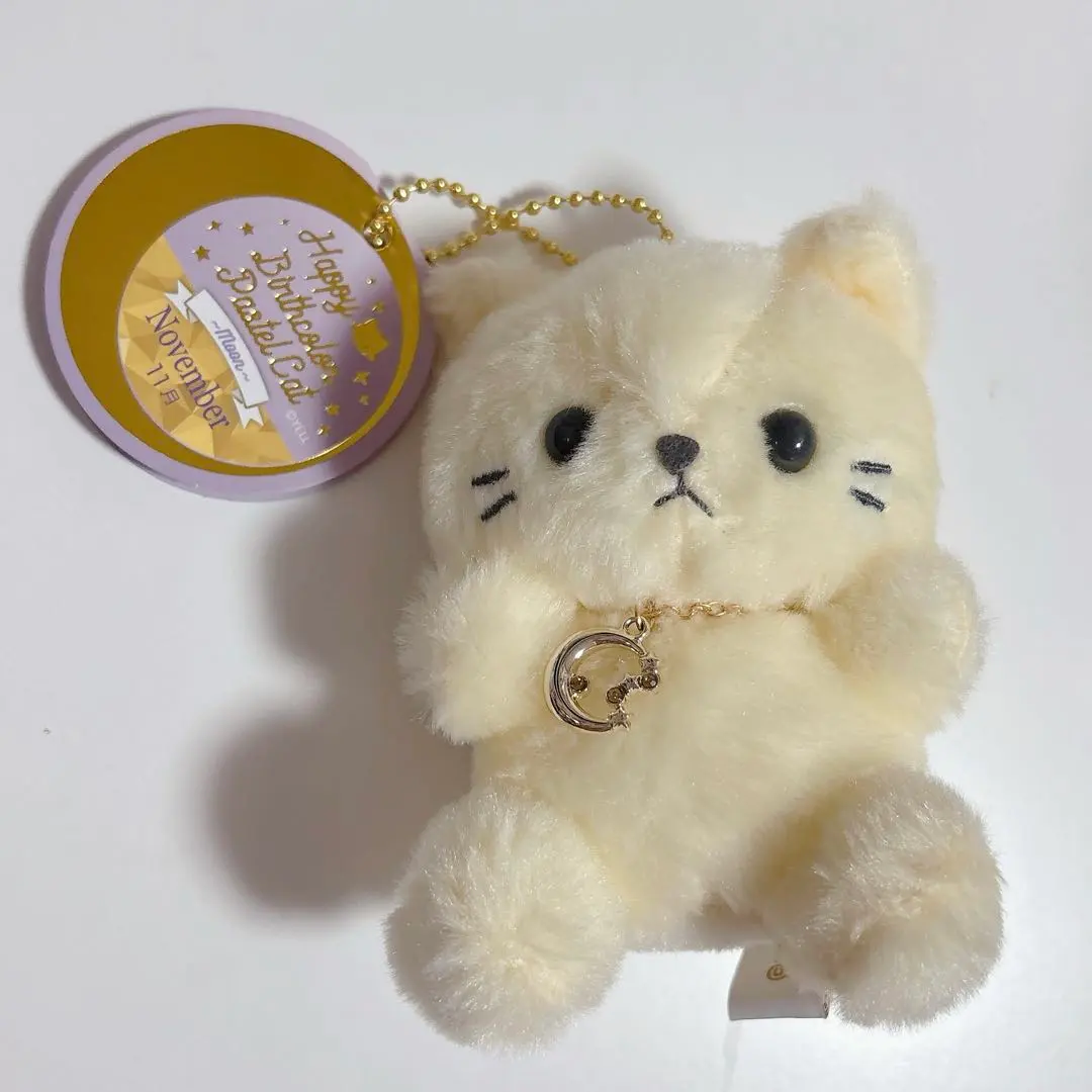 2026年最新】ハッピーバースカラー パステルキャットの人気アイテム