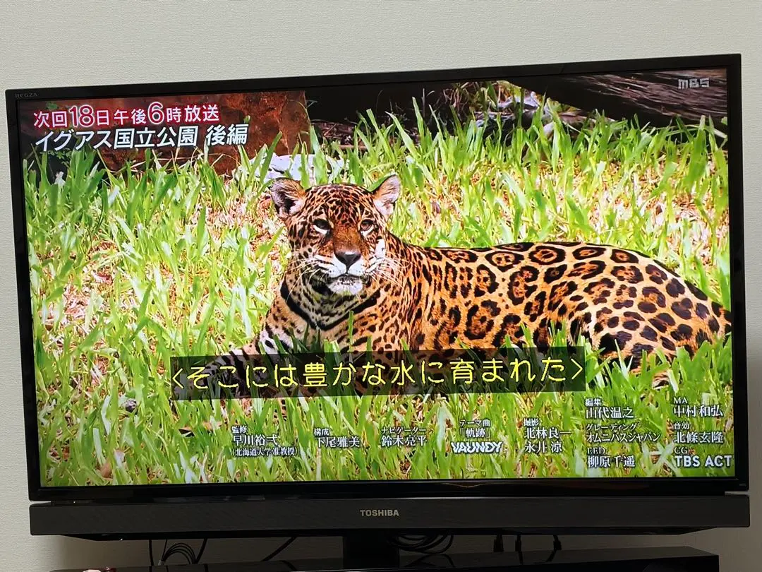 2026年最新】REGZA 40S5の人気アイテム - メルカリ