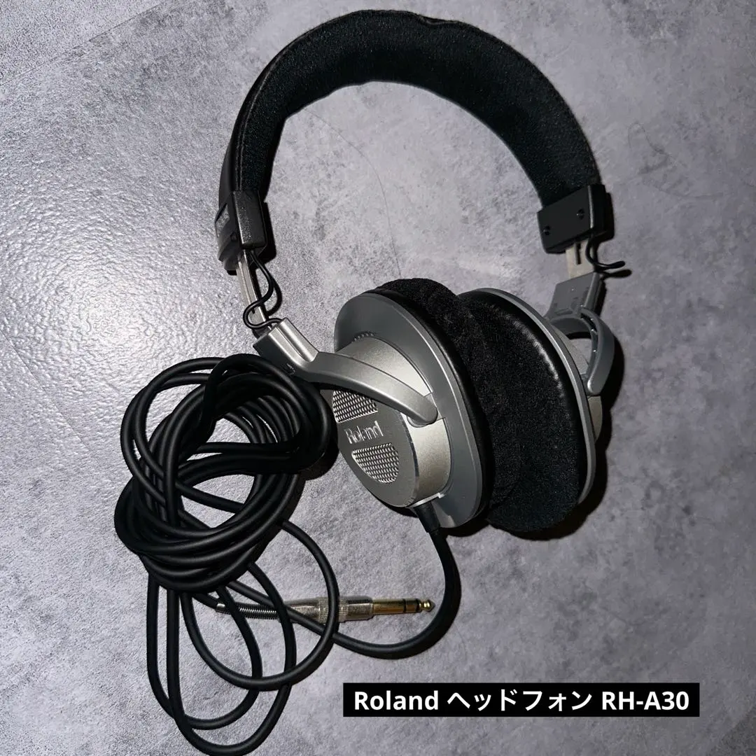 2026年最新】Roland RH-A30の人気アイテム - メルカリ