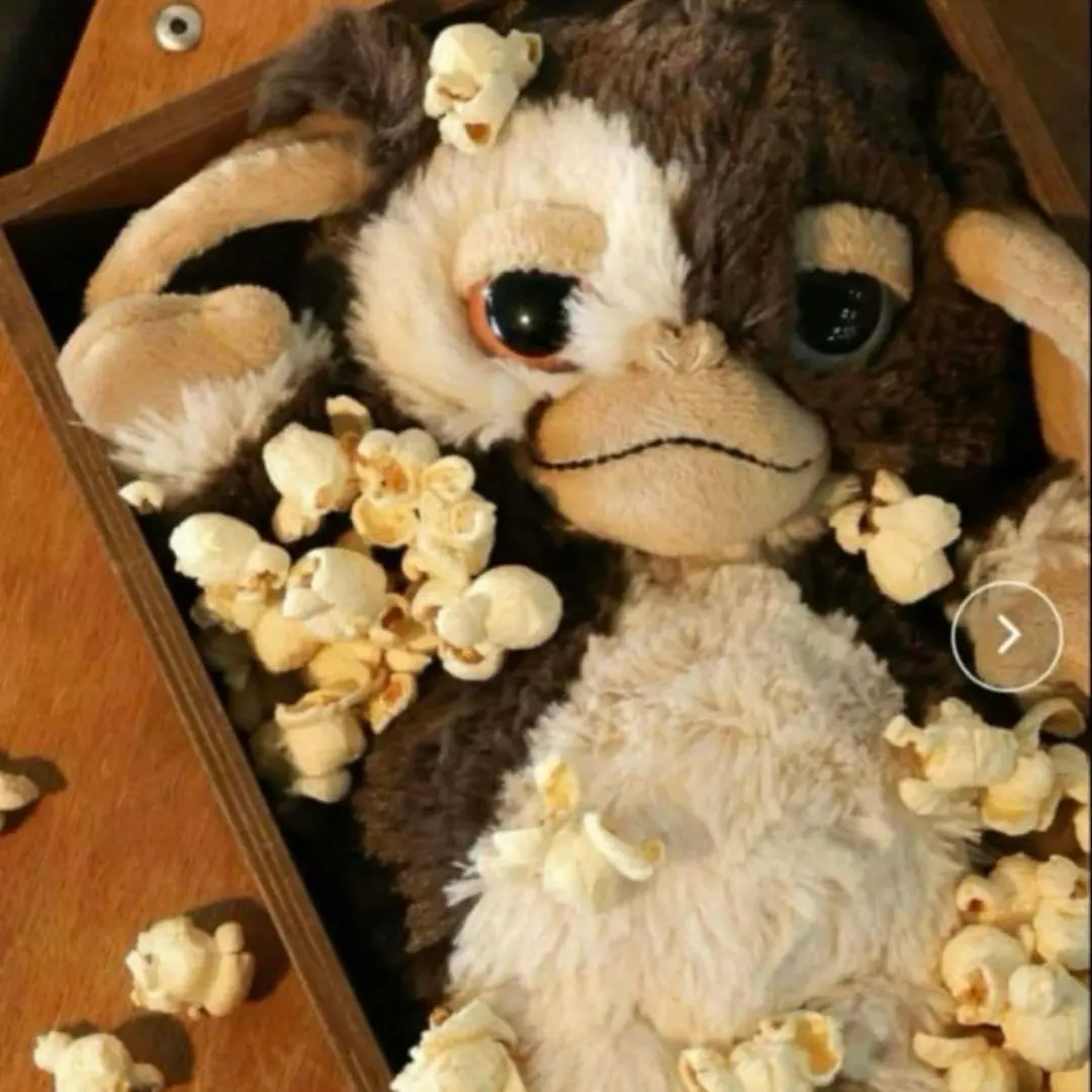 2026年最新】gremlins 別注の人気アイテム - メルカリ