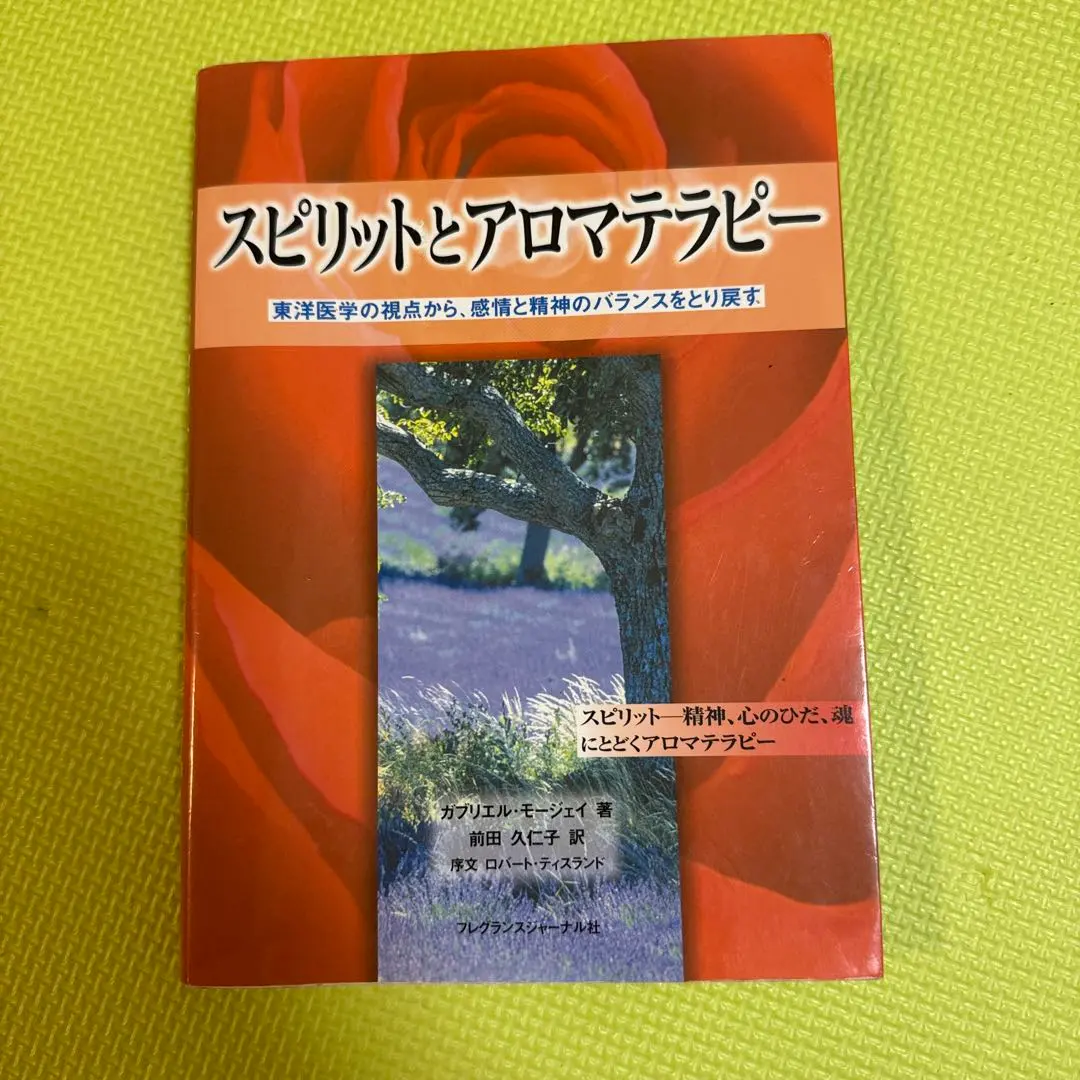 2026年最新】スピリットとアロマテラピ-: 東洋医学の視点から、感情と