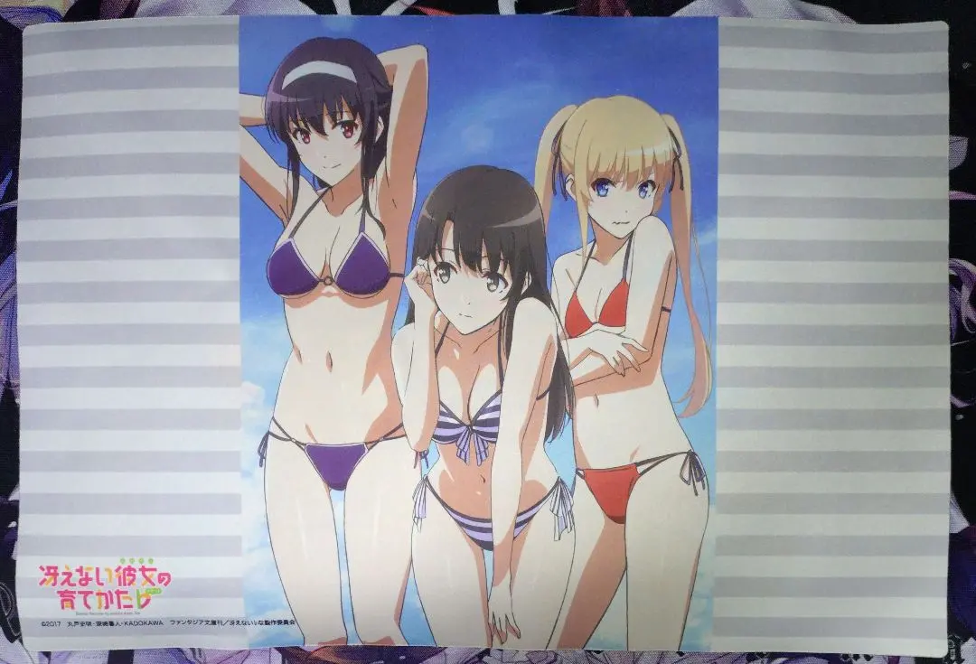 2026年最新】冴えない彼女の育てかた ラバーマットの人気アイテム