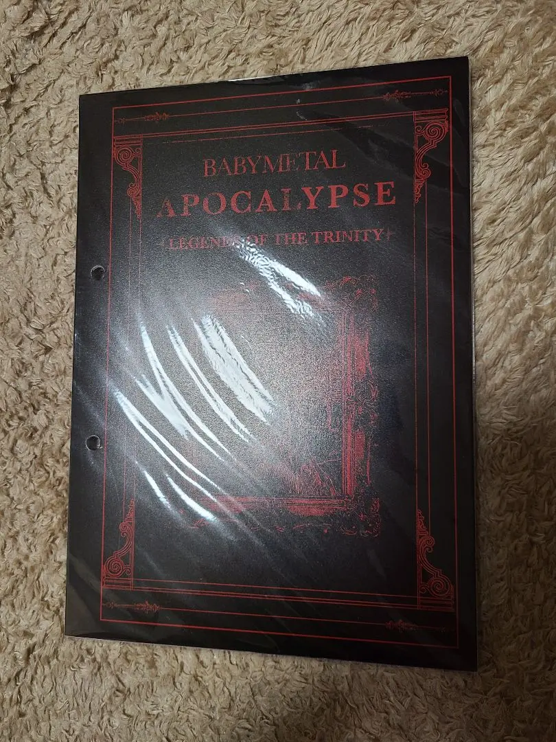 2026年最新】babymetal apocalypse バインダーの人気アイテム - メルカリ