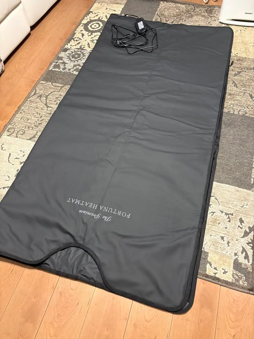 2026年最新】ホルミシスマットの人気アイテム - メルカリ