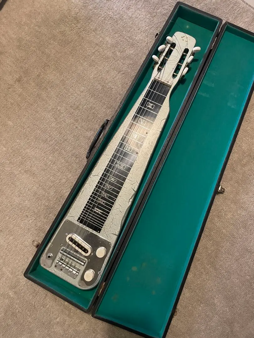 2026年最新】スチールギター GUYATONEの人気アイテム - メルカリ