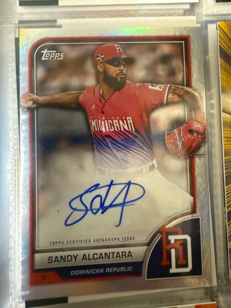 2026年最新】SANDy alcantaraの人気アイテム - メルカリ