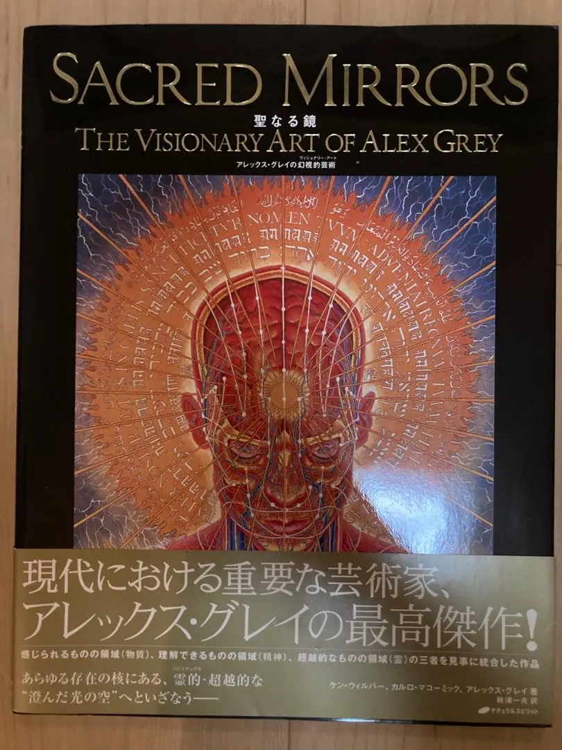 2026年最新】聖なる鏡 アレックス・グレイの人気アイテム - メルカリ