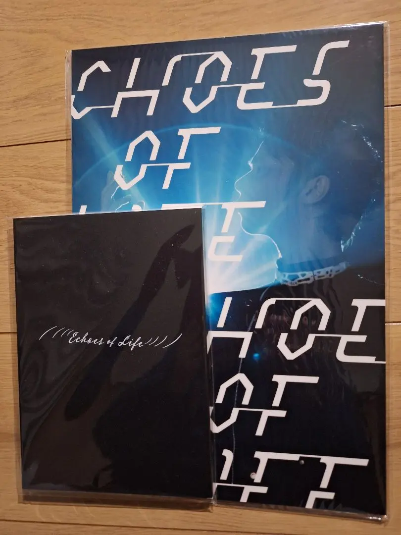 2026年最新】羽生結弦 エコーズの人気アイテム - メルカリ