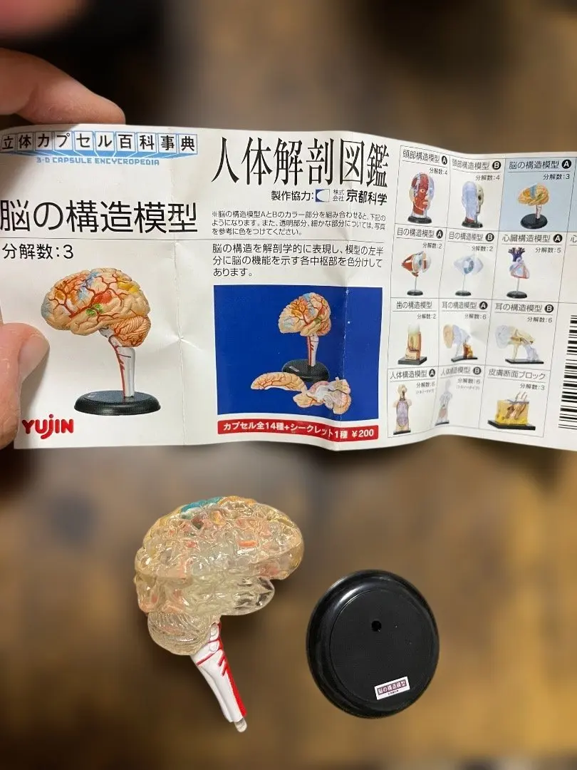 2026年最新】人体解剖図鑑 ユージンの人気アイテム - メルカリ