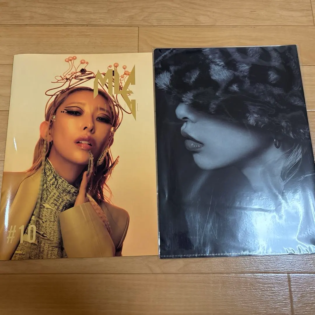 2026年最新】加藤ミリヤクリアファイルの人気アイテム - メルカリ