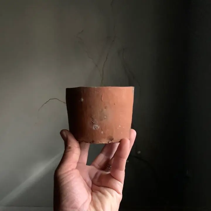 2026年最新】古 琉球 焼の人気アイテム - メルカリ