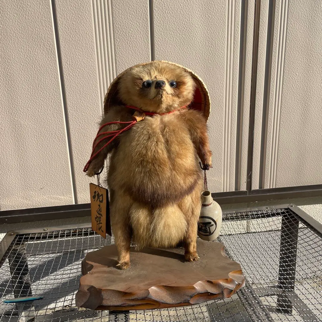 2026年最新】たぬき剥製の人気アイテム - メルカリ