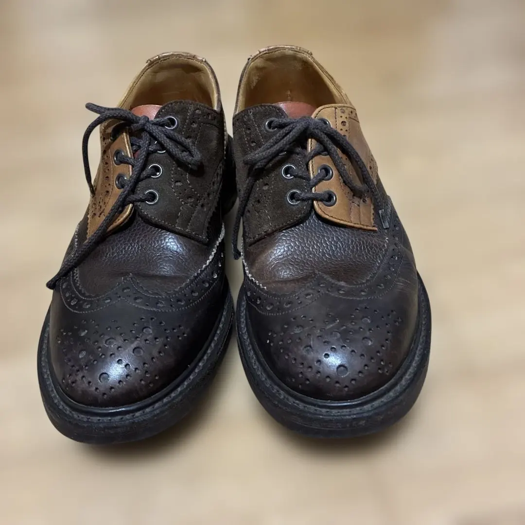 2026年最新】ネペンテス トリッカーズの人気アイテム - メルカリ