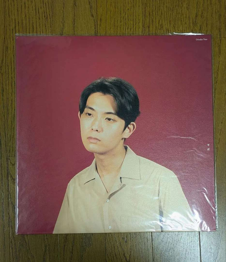 2026年最新】折坂悠太 レコード 平成の人気アイテム - メルカリ