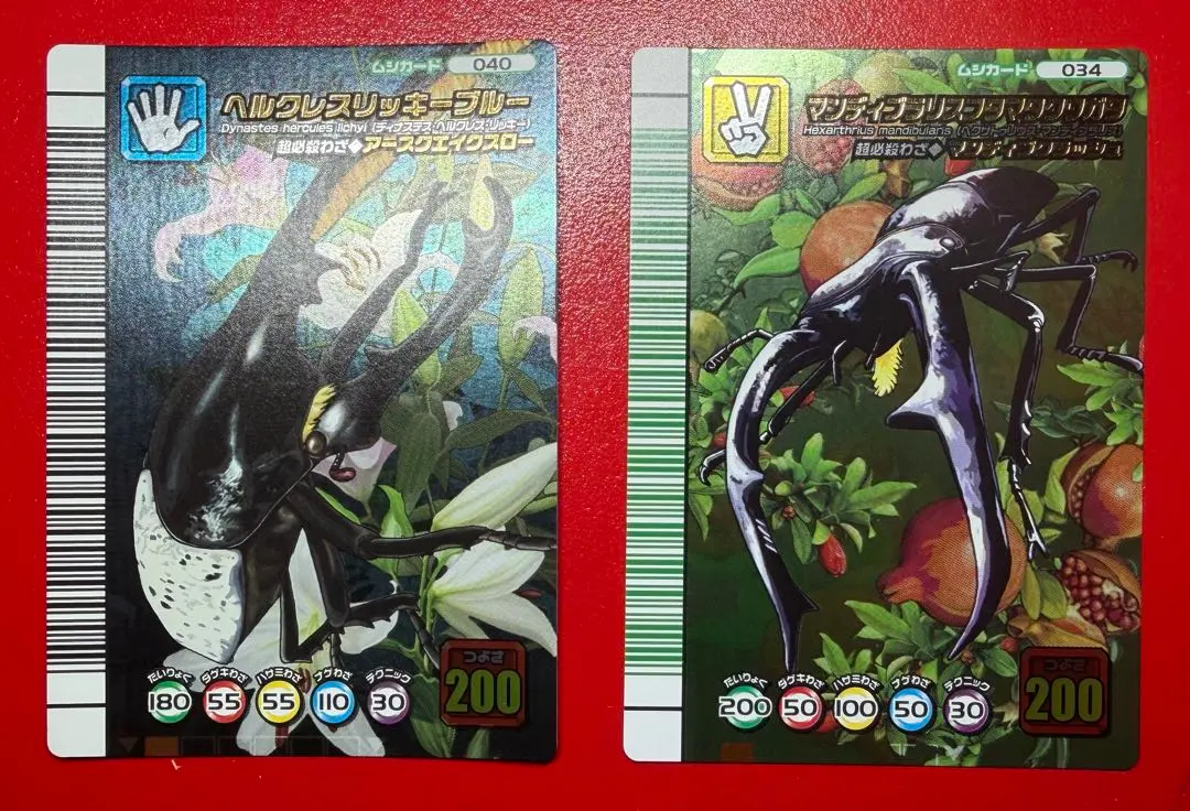 2026年最新】マンディブラリスフタマタクワガタ5周年の人気アイテム