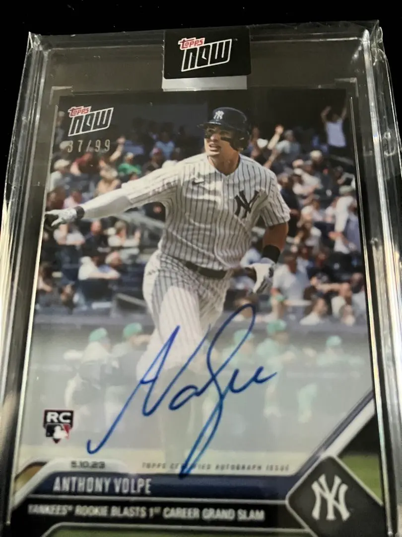 2026年最新】anthony volpeの人気アイテム - メルカリ