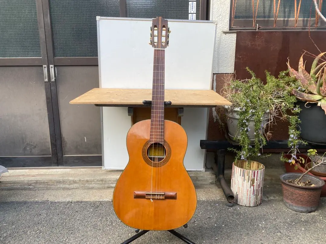 2026年最新】hashimoto ギターの人気アイテム - メルカリ