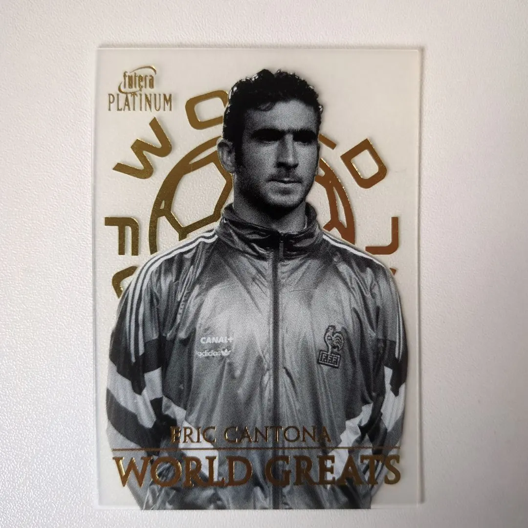 2026年最新】futera platinumの人気アイテム - メルカリ