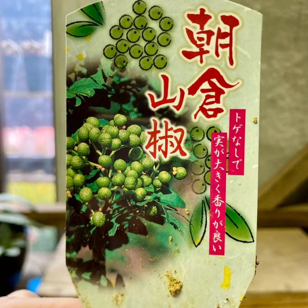 2026年最新】朝倉山椒の人気アイテム - メルカリ