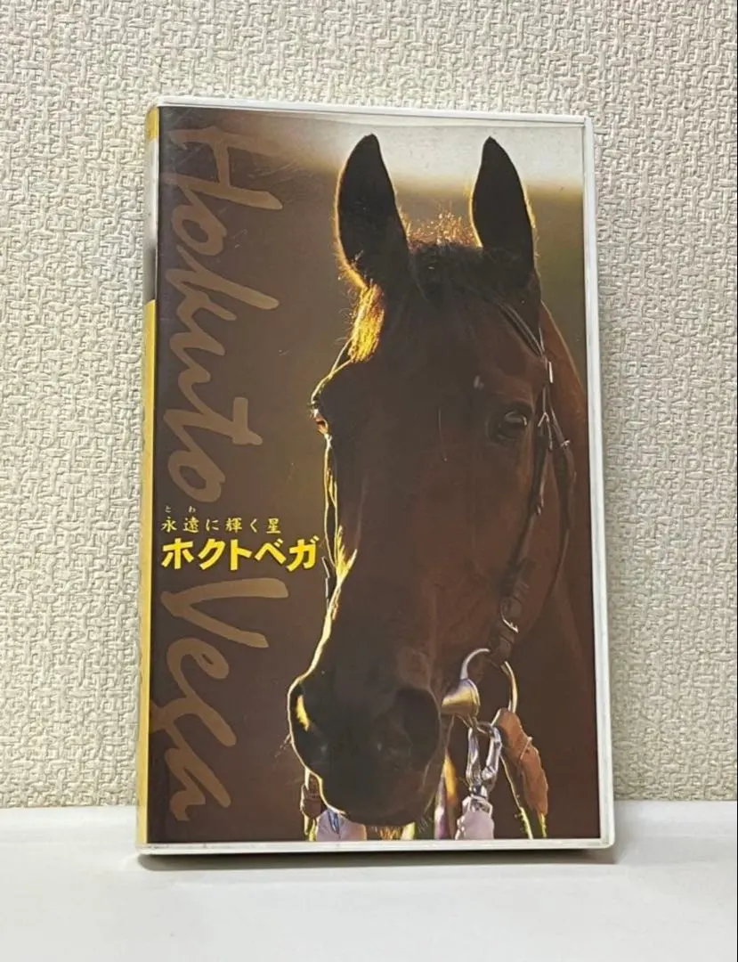 2026年最新】hokuto レコードの人気アイテム - メルカリ