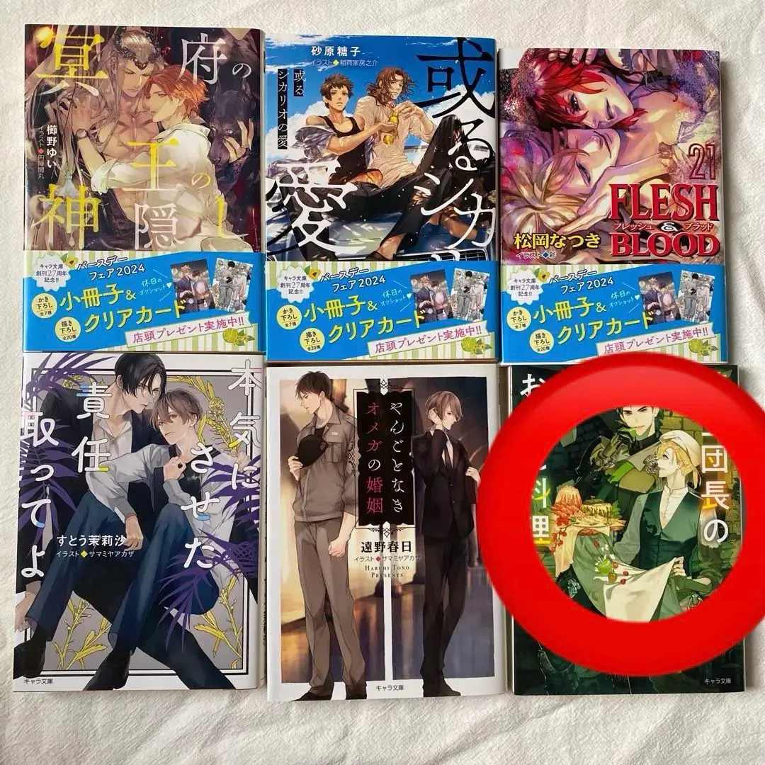 2026年最新】 ◇松岡なつき／彩【FLESHの人気アイテム - メルカリ