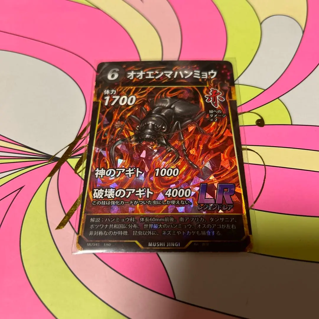 2026年最新】オオエンマハンミョウ 標本の人気アイテム - メルカリ