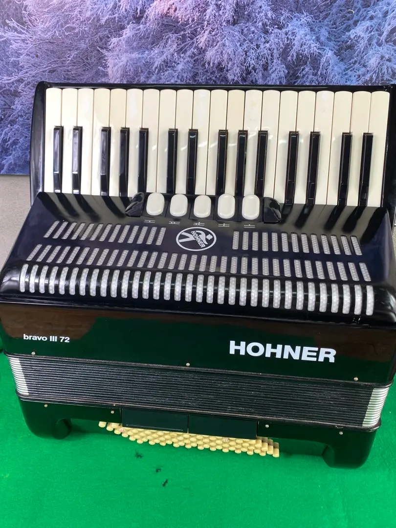 2026年最新】hohner アコーディオンの人気アイテム - メルカリ