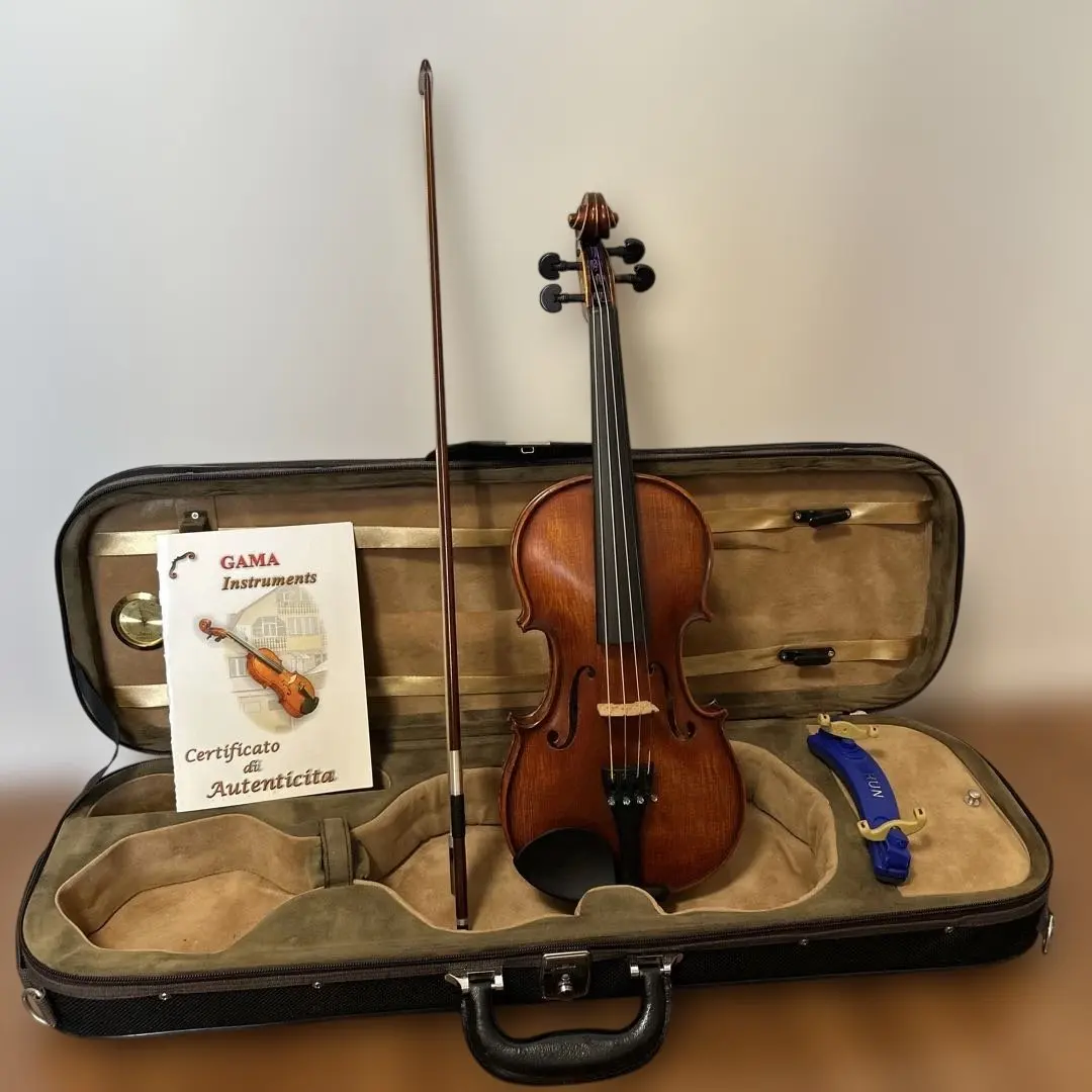 2026年最新】GLIGA バイオリン 4/4の人気アイテム - メルカリ