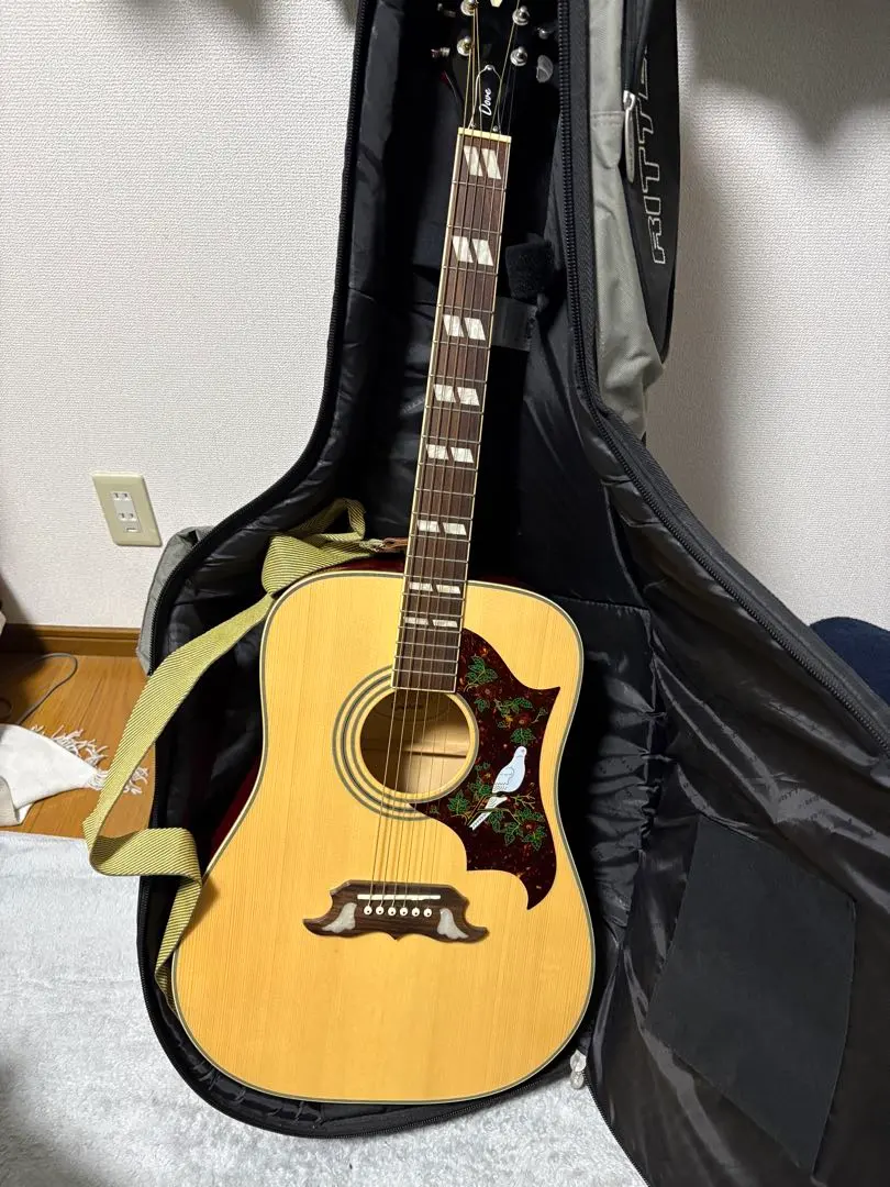 2026年最新】epiphone doveの人気アイテム - メルカリ