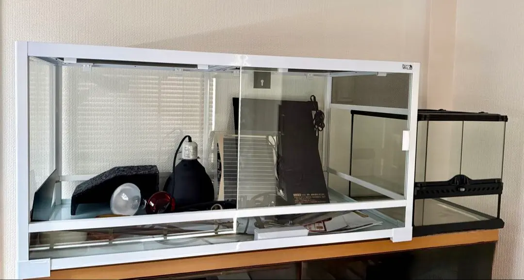 2026年最新】フトアゴヒゲトカゲ飼育セットの人気アイテム - メルカリ