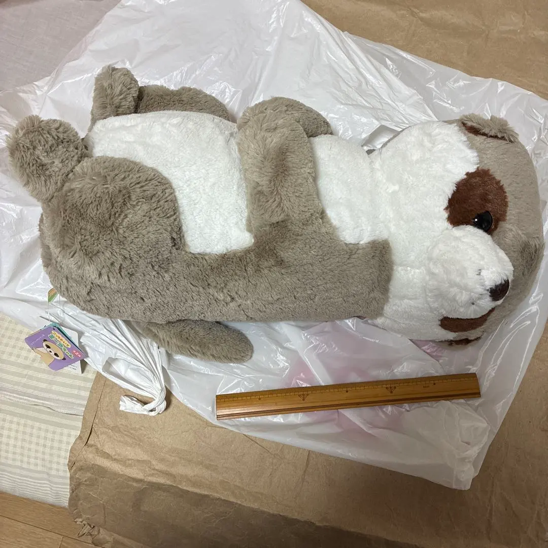 2026年最新】こっちむいてミーアちゃんの人気アイテム - メルカリ