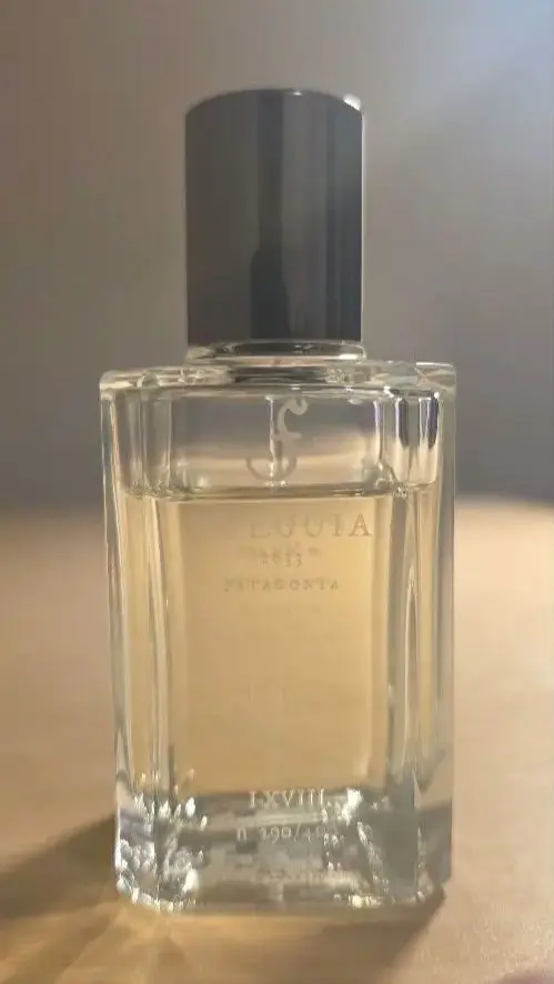 2026年最新】フエギア タイースの人気アイテム - メルカリ