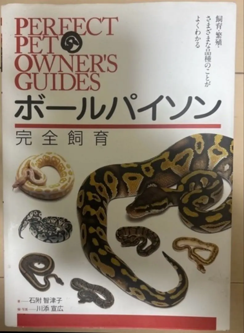 2026年最新】パーフェクトボールパイソンの人気アイテム - メルカリ