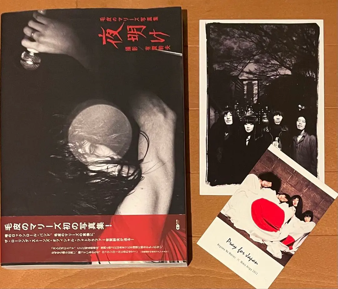 2026年最新】毛皮のマリーズ レコードの人気アイテム - メルカリ