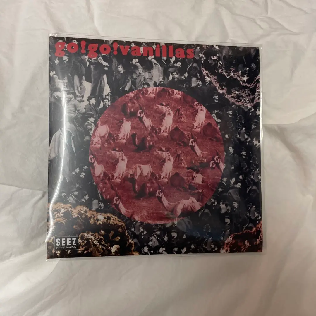 2026年最新】go go vanillas 人間讃歌の人気アイテム - メルカリ