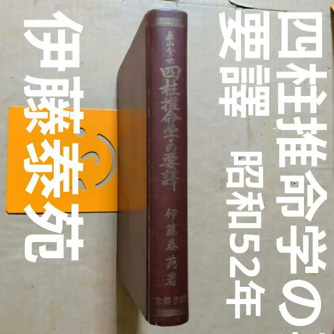 m87917811216_1.jpg?1758276043