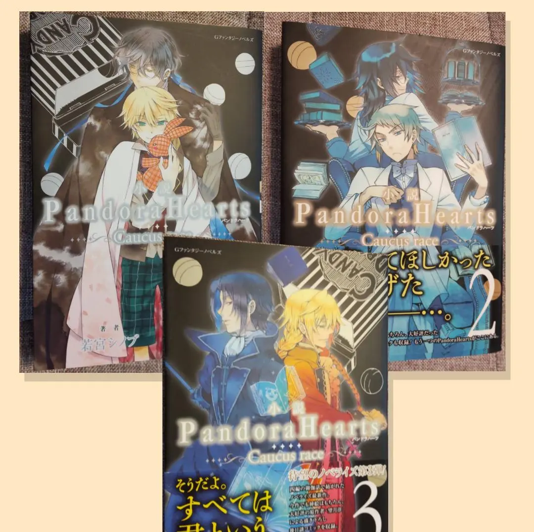 2026年最新】パンドラハーツ ブックカバーの人気アイテム - メルカリ