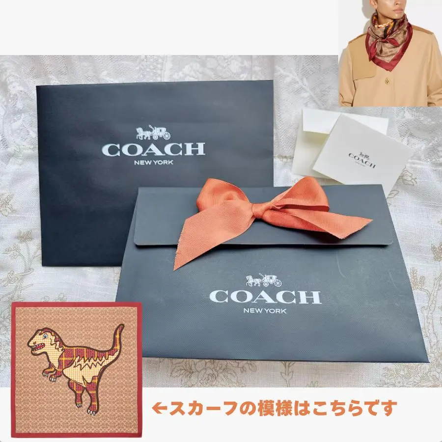 2026年最新】coach レキシー カードケースの人気アイテム - メルカリ